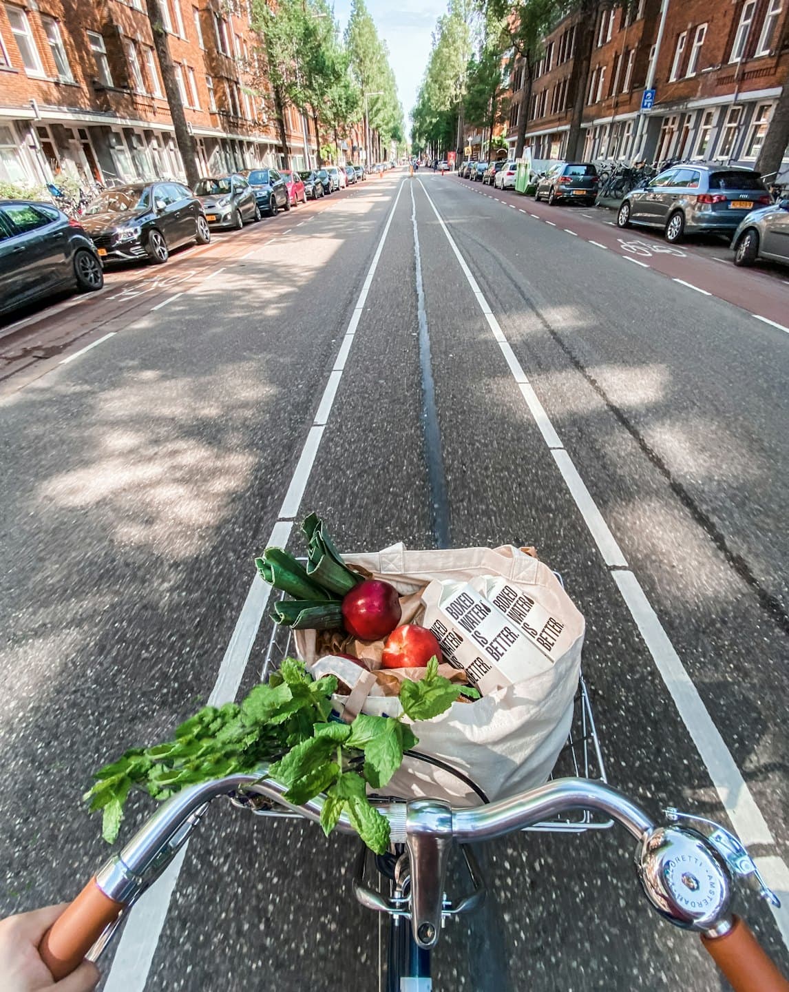 Cycling with groceries in the city